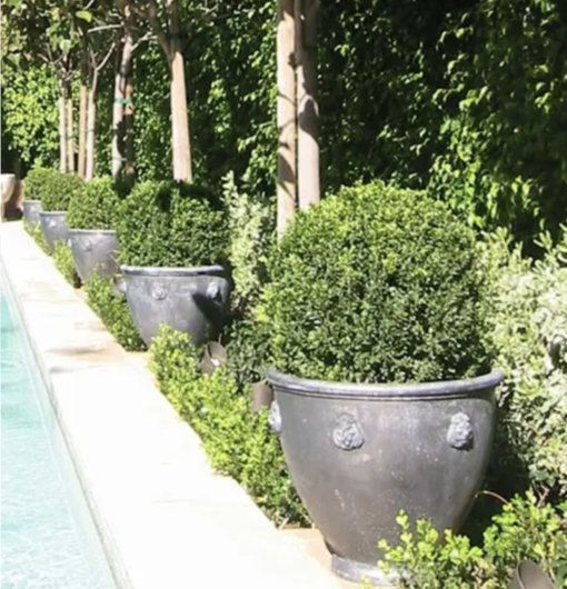 Pair of Classic Lead Lion Head Planters - Image 4